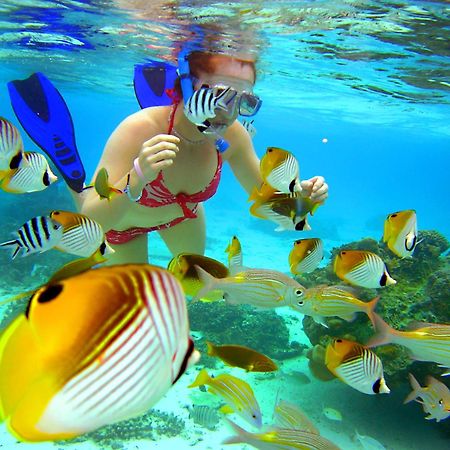Sanctuary Rarotonga On The Beach (Adults Only) Ngoại thất bức ảnh