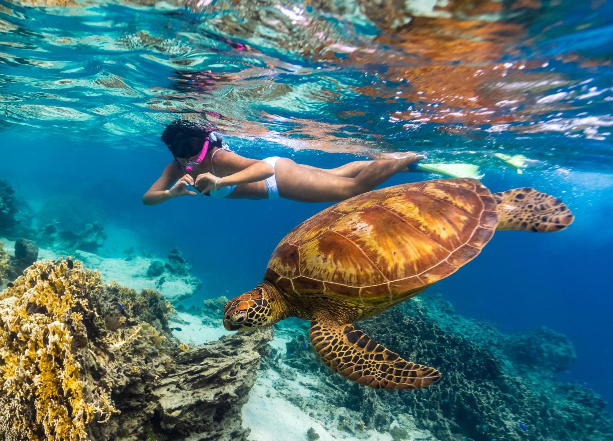 Sanctuary Rarotonga On The Beach (Adults Only) Ngoại thất bức ảnh
